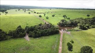 FAZENDA À VENDA ARAGUAÍNATO [upl. by Sandeep]