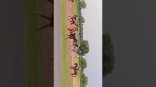 Banasthali Vidyapith horse riding🏇🏇🏇 field with girls🥰🥰🥰🤩 banasthali [upl. by Alemak568]