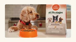 Canidae All Life Stages  Great Nutrition For MultiDog Families [upl. by Ehcadroj]