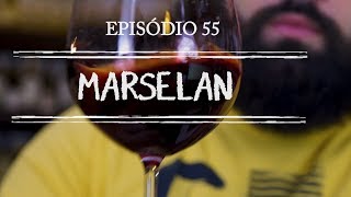 Uvas do Vinho  Ep 55  Marselan [upl. by Nnylrefinnej374]