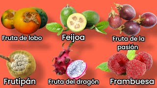 NOMBRES DE FRUTAS QUE EMPIEZAN CON LA LETRA F 🍏🍎🍓 [upl. by Esihcoc]