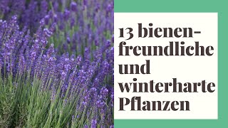 13 Bienenfreundliche und winterharte Pflanzen  So klappts mit der Pflanzenpflege garantiert [upl. by Eidualc]