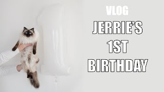 CAT VLOG  Jerries 1st Birthday  Cat does tricks  Mia doesnt want to wash herself [upl. by Loggins]