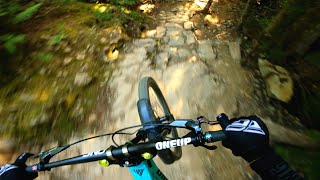 Riding Fast on my new bike  Downhill track at the Whistler Bike Park [upl. by Nage925]