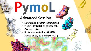 Pymol Advanced Session  Protein Ligand Interactions  Pymol Plugin Installation [upl. by Siuqcram]