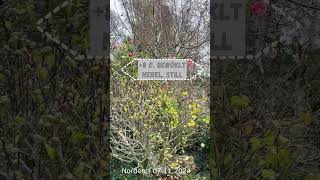 Wetter in Norden 07 11 2024 naturevideo nordseegefuehl wetter [upl. by Bird]