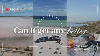 Is this the BEST dog friendly beach camping in AUSTRALIA [upl. by Pool761]