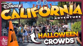 How CROWDED is Disney California Adventure for Halloween 2024 [upl. by Yllah]