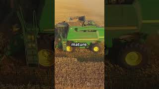 Future of Agriculture 🤫Harvesting machines Revolutionizing farmingShorts [upl. by Heyward]