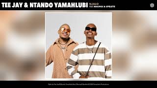 Tee Jay amp Ntando Yamahlubi  Njalo Official Audio feat Msongi amp Spelete [upl. by Marcelo143]