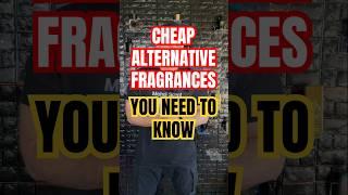 5 Great Cheap Alternative Fragrances You Need to Know [upl. by Iatnohs35]