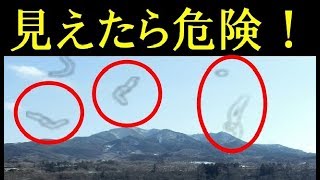 【衝撃】今すぐ確認 この症状は「目の病気」の危険なサインかも！ 飛蚊症を疑うべき症状とは‥【健康雑学】 [upl. by Annoda]