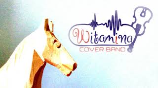 Witamina Cover Band  Konik na biegunach cover Urszula [upl. by Pat322]