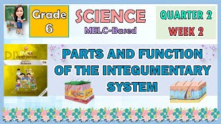 SCIENCE 6 QUARTER 2 WEEK 2  PARTS AND FUNCTION OF THE INTEGUMENTARY SYSTEM [upl. by Aihsekat778]