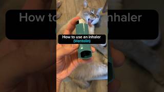 How to use an inhaler Ventolin pharmacist inhaler asthma technique healthandwellness [upl. by Gnol]