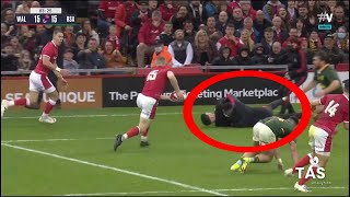 Drunk fan runs on field during Wales vs South Africa rugby match  Was this Jaco Johan [upl. by Donalt854]