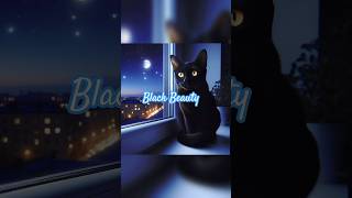 Bombay cat Black Beauty black cat bombay cuteanimal [upl. by Garey]