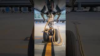 Airbus A330 Nose Wheel Landing Gear airbus a330 aviation pilot airplane travel airliner [upl. by Nevet]