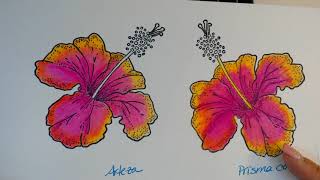 ARTEZA colored pencils vs Prismacolor pencils [upl. by Orva]