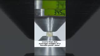 Tooth vs Hydraulic Press [upl. by Stillas713]