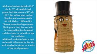 Mr Peanut Costume [upl. by Hebner]