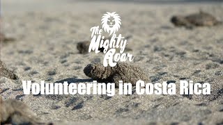 Volunteering in Costa Rica [upl. by Dodie820]