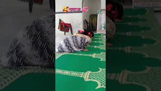 namaz ॥ Namaz padhne ke Rab Ko Razi kar lunga Ramzan mein॥ roza ramadan ramzan shortvideo [upl. by Regdirb]