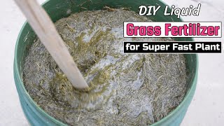 DIY Liquid Grass Fertilizer for Super Fast Plant Growth [upl. by Phaidra129]