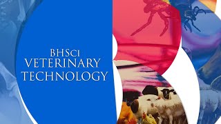 TUT Veterinary Technology PROMO 2024 [upl. by Pierette]