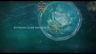 Introduction to Exosomes [upl. by Vida]