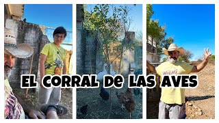 49 🐓🐔🏡🌱EL CORRAL DE LAS AVES TERMINADO 🪿🌱🐔🏡❤️🐣 [upl. by Gaelan]