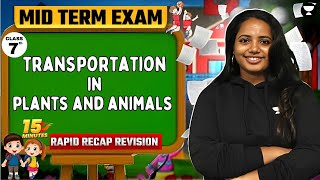 Transportation in Plants and Animals  15 Minutes Rapid Recap in English  Mid Term  Class 7 [upl. by Neerod482]