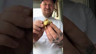 Mac n Cheese in a Sausage [upl. by Ibmat]