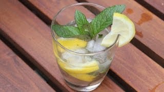 Mojito mit Rhabarbersirup Cocktail Rezept  Der Bio Koch 480 [upl. by Kraska]