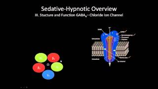 The GABA receptor  How does it work [upl. by Heyra261]