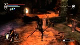 Demons Souls Expert Walkthrough 11  BOSS Flame Lurker Defeated Damn Crystal Lizards [upl. by Soma]