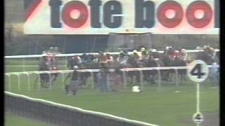 1993 Tote Ebor Handicap [upl. by Vergil710]