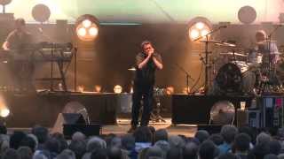 Elbow  The Night Will Always Win  live at Eden Sessions 2014 [upl. by Westerfield]