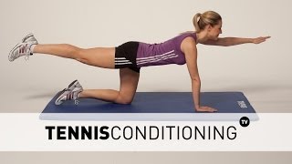 4 Point Prone Alternating ContraLateral Limb Raises [upl. by Eniloj]