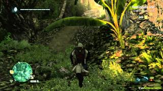 Assassins Creed IV Black Flag  Redingote Up Achievement [upl. by Naujat]