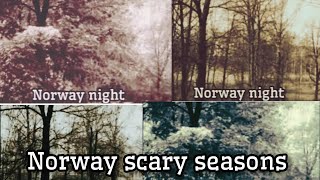 Norway scary four season in one minute norway norwaynature [upl. by Arin]