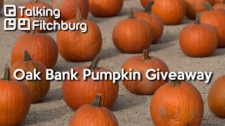 Oak Bank Pumpkin Giveaway 2024 [upl. by Knorring643]