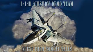 F14D AirShow Demo Team [upl. by Enrichetta375]