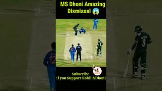 MS Dhoni Amazing Dismissals😱cricketshorts cricket viratkohli t20worldcup msdhoni icc [upl. by Loma]