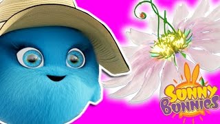 Cartoons For Children  Sunny Bunnies THE SUNNY BUNNIES MAGIC FLOWER  Funny Cartoons For Children [upl. by Naraj925]