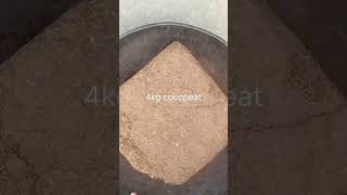 Cocopeat ko use karne ka sabse sahi tarika  shortsfeed shorts [upl. by Portwin]