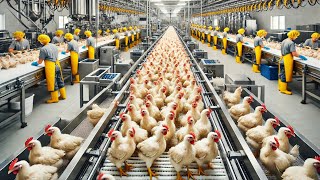 Behind The Scenes of Chicken Factory Processing Millions of Chickens for Meat [upl. by Aerdnua]