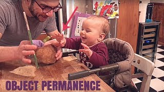 Object Permanence in babies FUNNY AND INFORMATIVE [upl. by Winter]