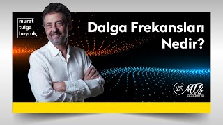 DALGA FREKANSLARI NEDİR  Murat Tulga Buyruk ile Kuantum amp Tasavvuf [upl. by Elfie]