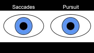 RS Supranuclear Ocular Motor Pathways Part 1  Horizontal Saccades [upl. by Kliber]